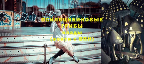 шишки Новодвинск