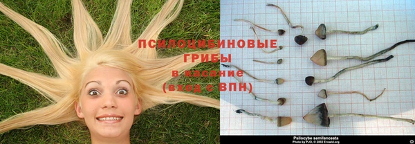 прущая мука Балабаново